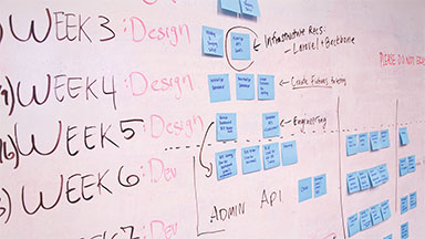 Project management